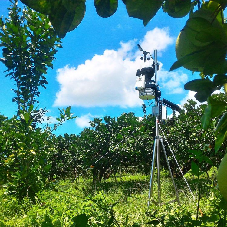 田間氣象站與農業氣候預報服務